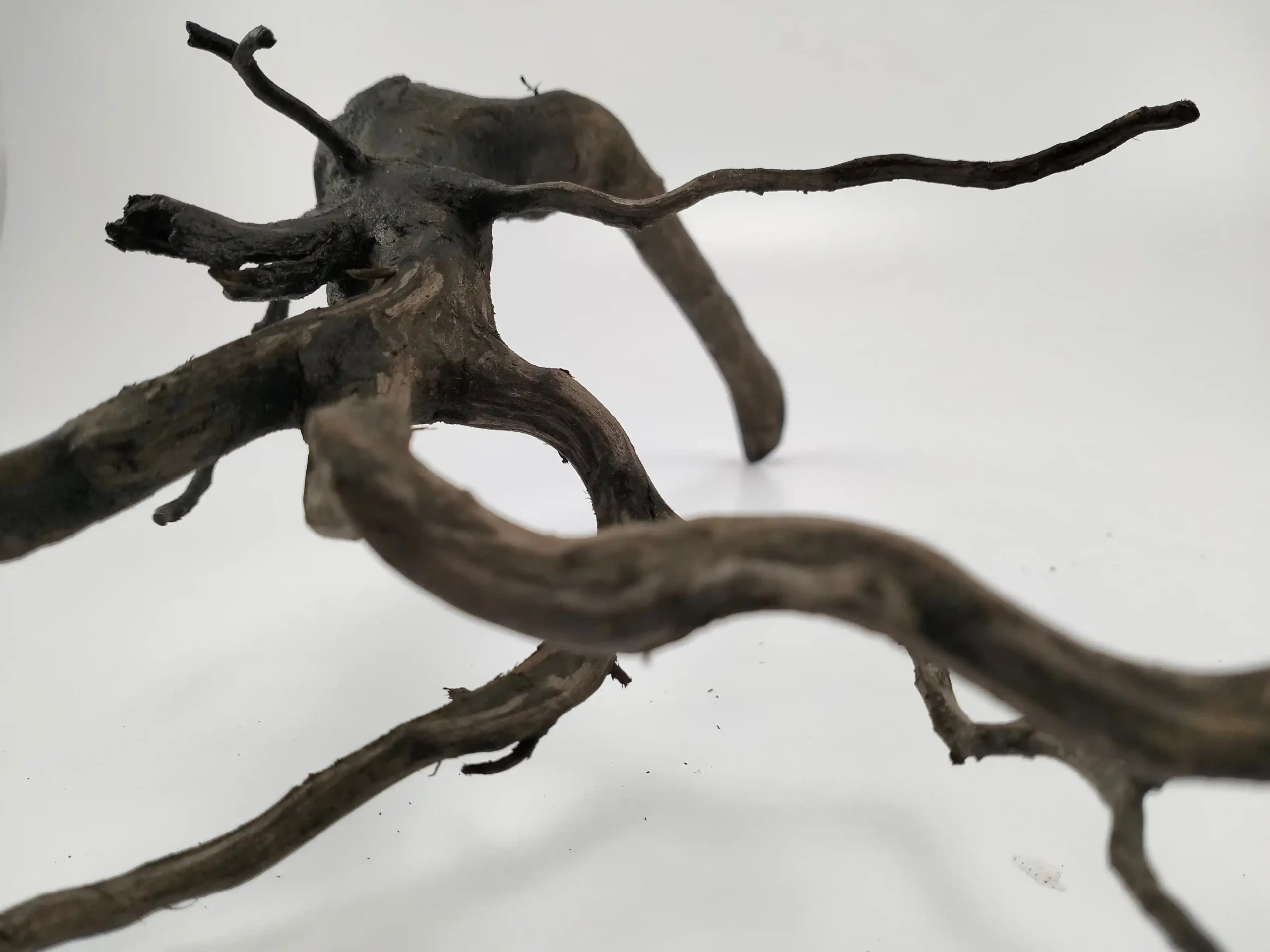 Black Driftwood for Landscape