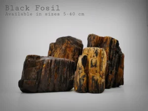 Black Fossil Stone