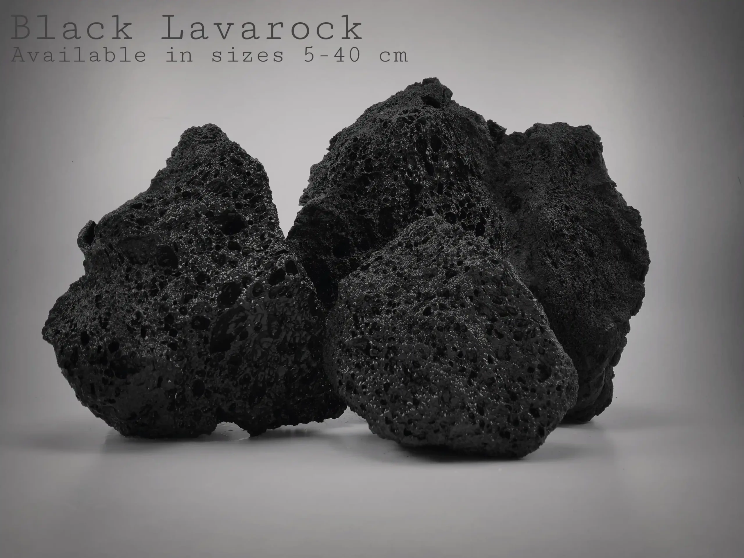 Black Lava Stone for Reptile