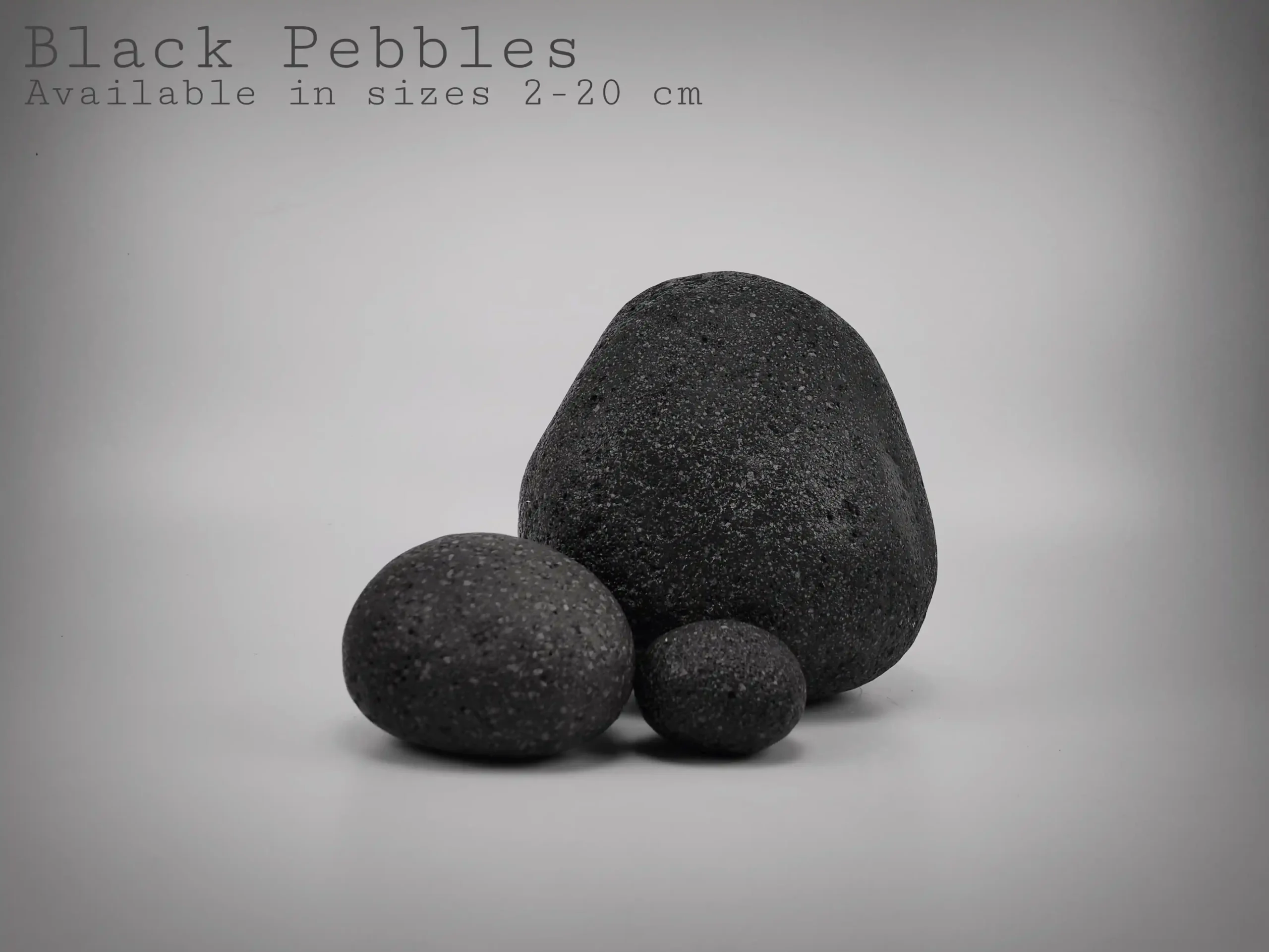 Black Pabbles Stone for Reptile
