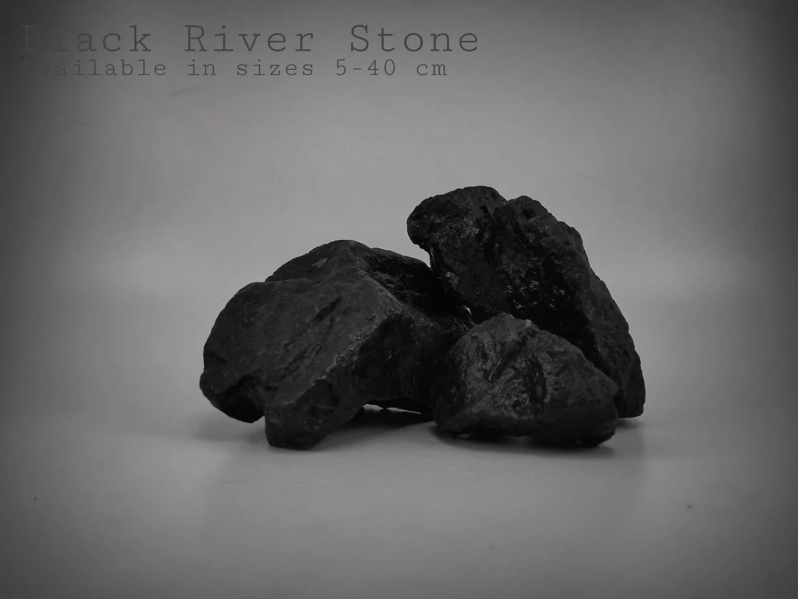 Black River Stone for Reptile