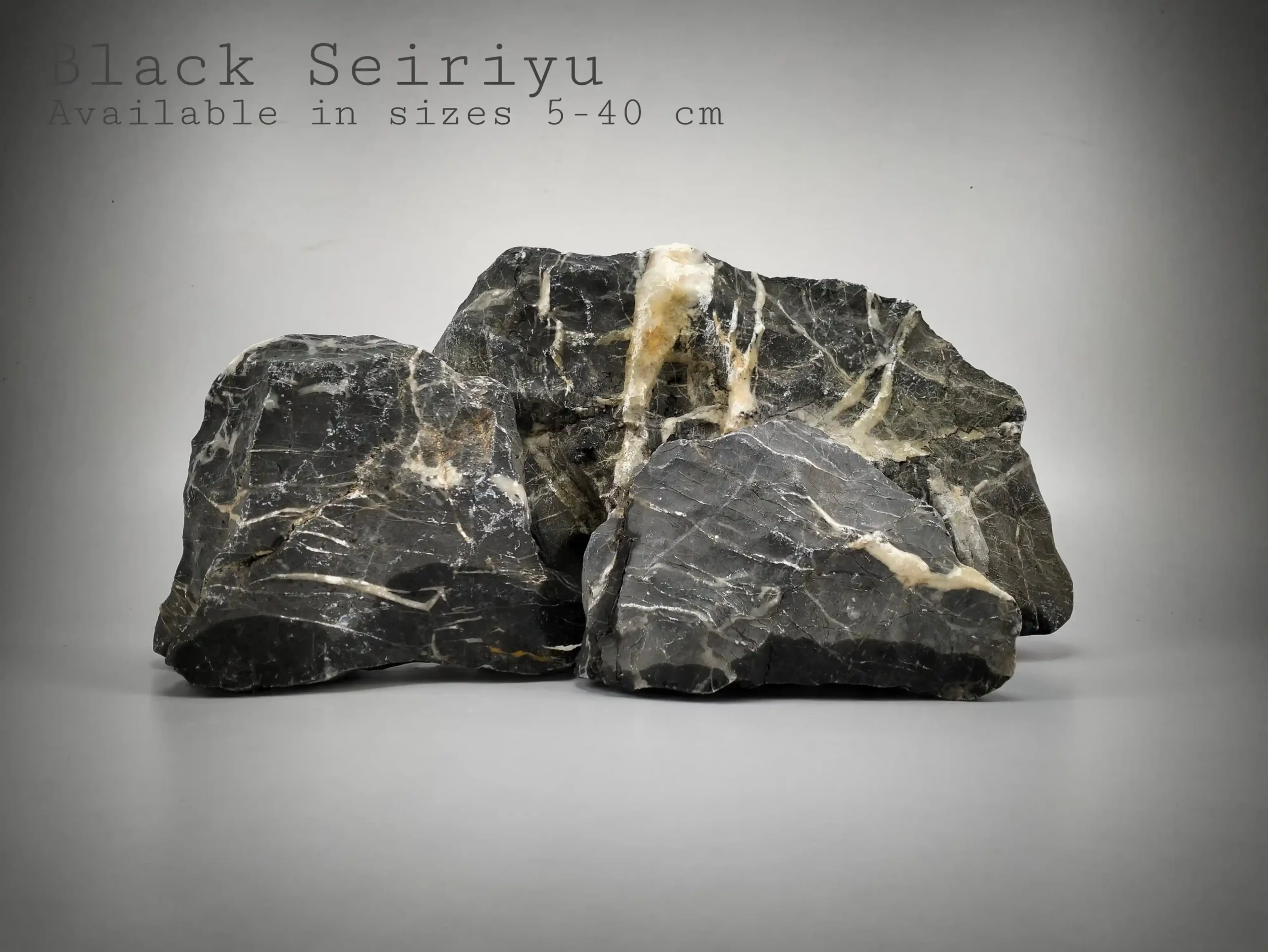 Black Seiriyu Stone for Reptile