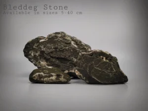 Bleddeg Stone