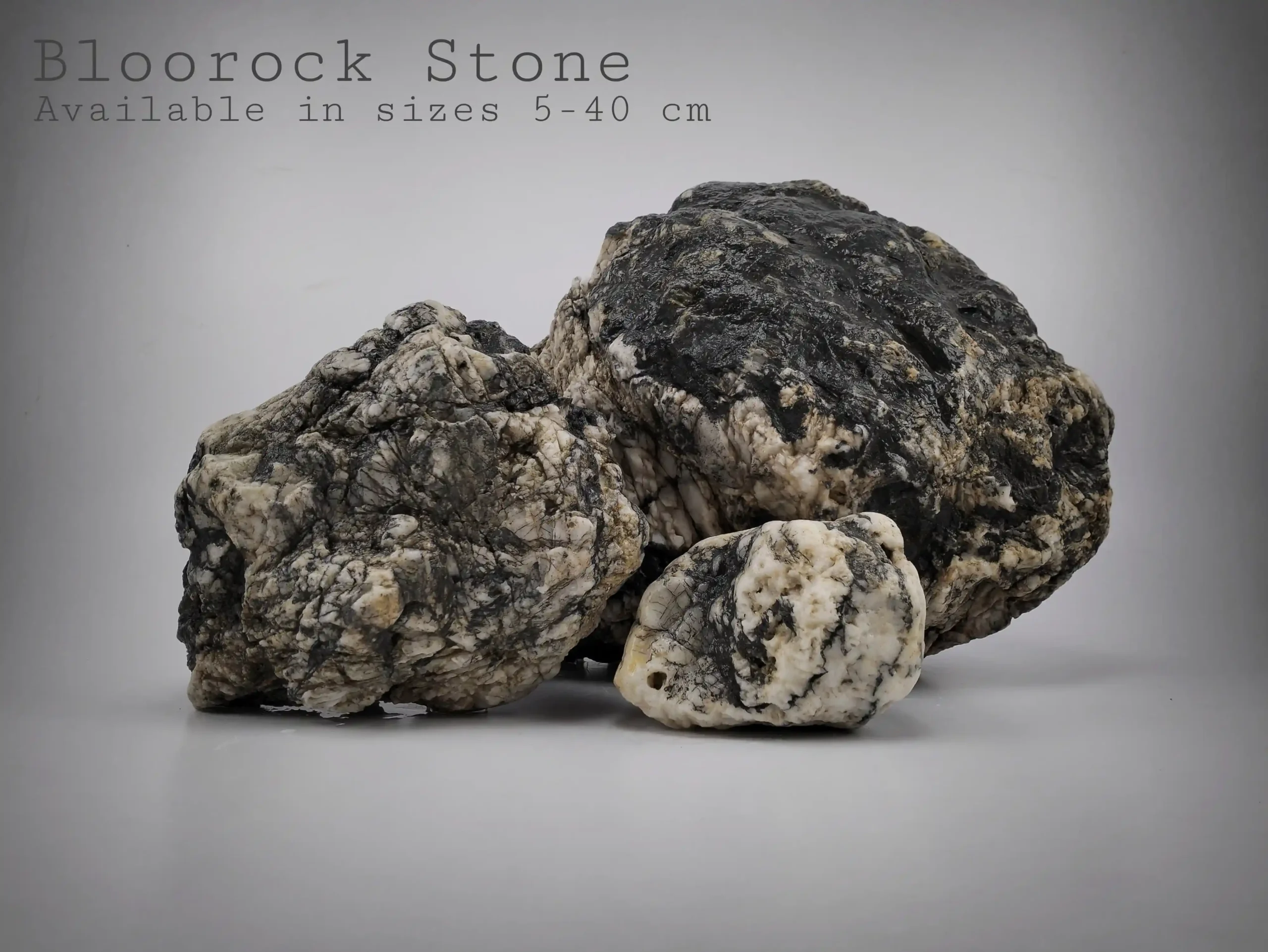 Blorock Stone for Reptile