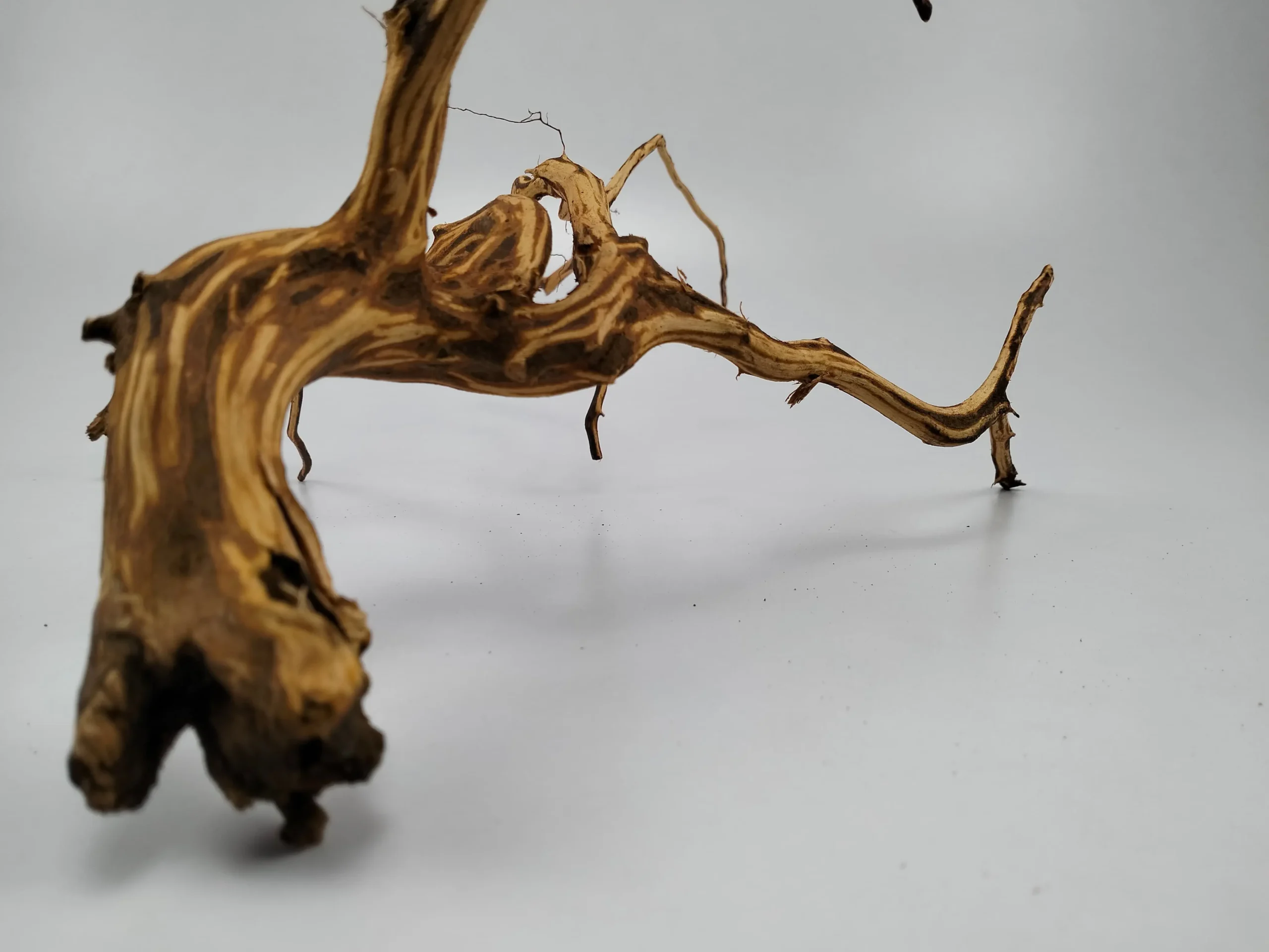 Brown Driftwood for Reptile