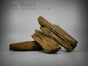 Brown Fossil Stone for Landscape