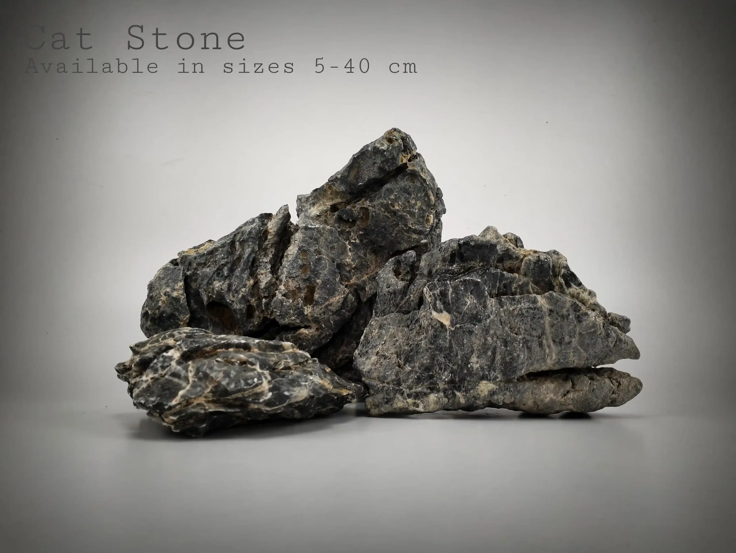 Cat Stone for Landscape