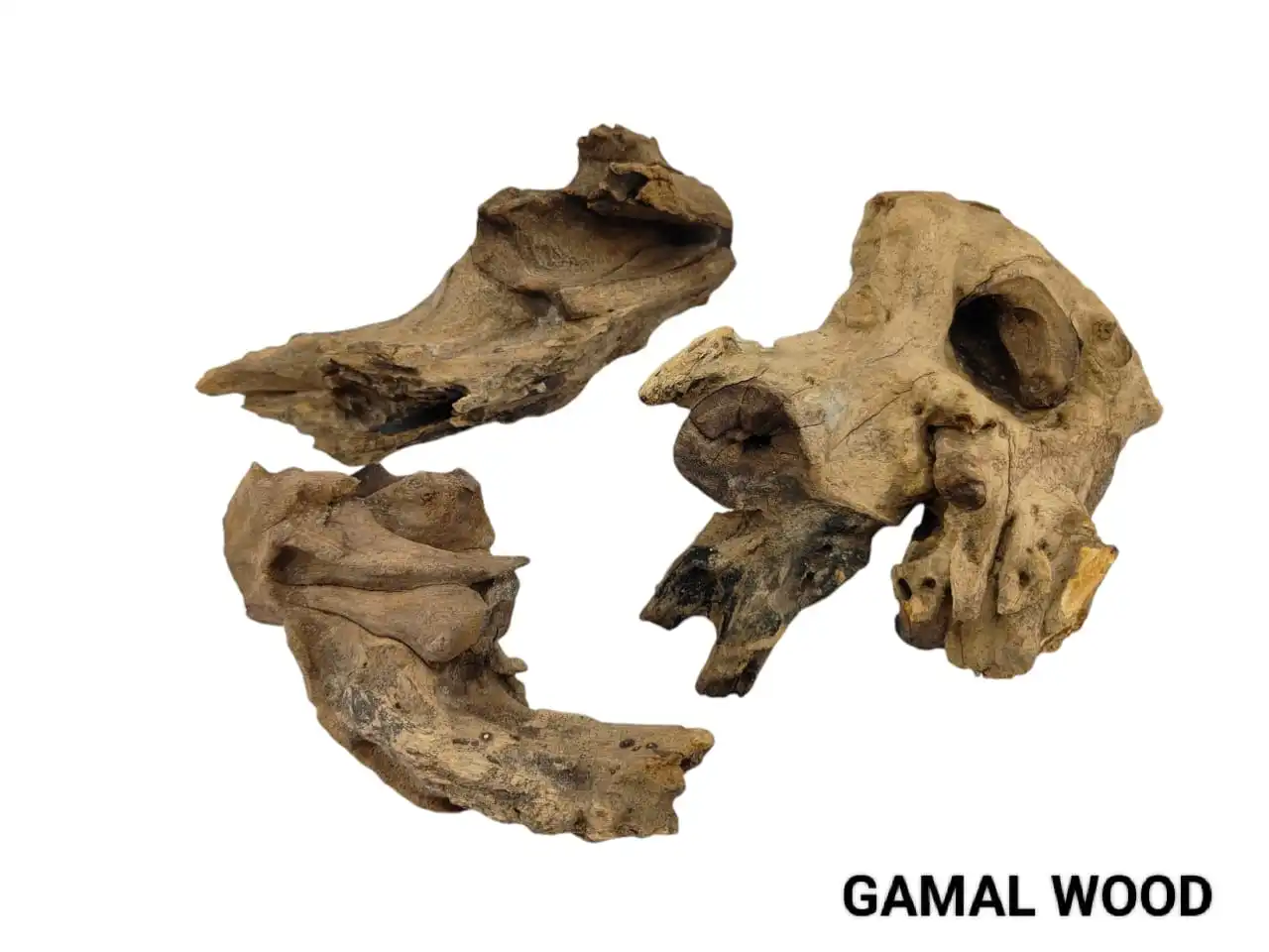 Gamal Wood for Reptile