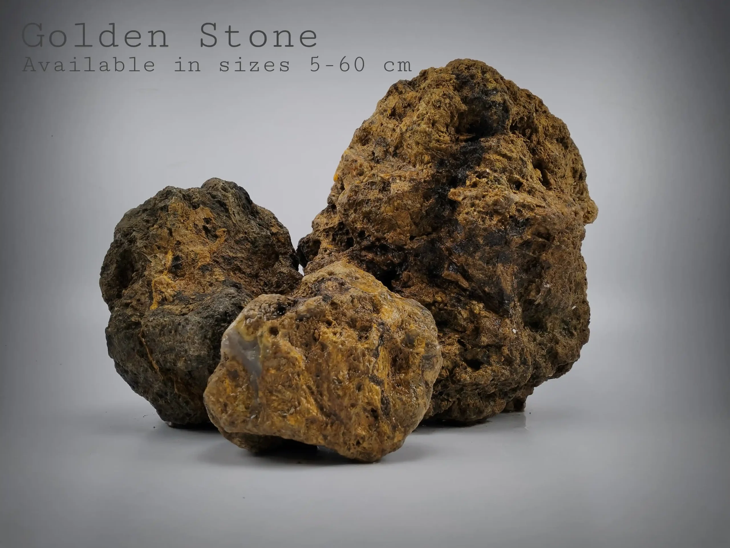 Golden Stone for Reptile