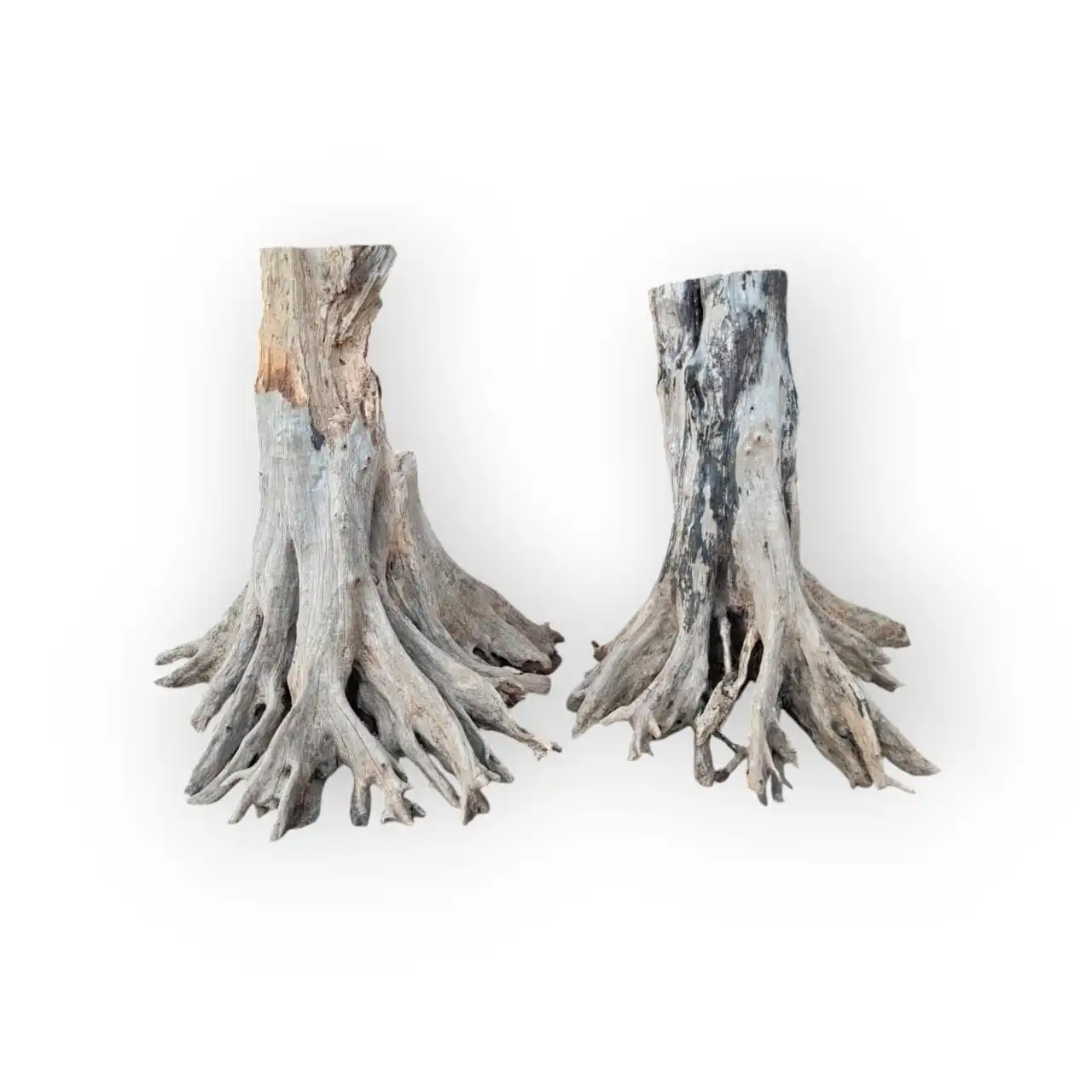 Jungle Wood for Reptile