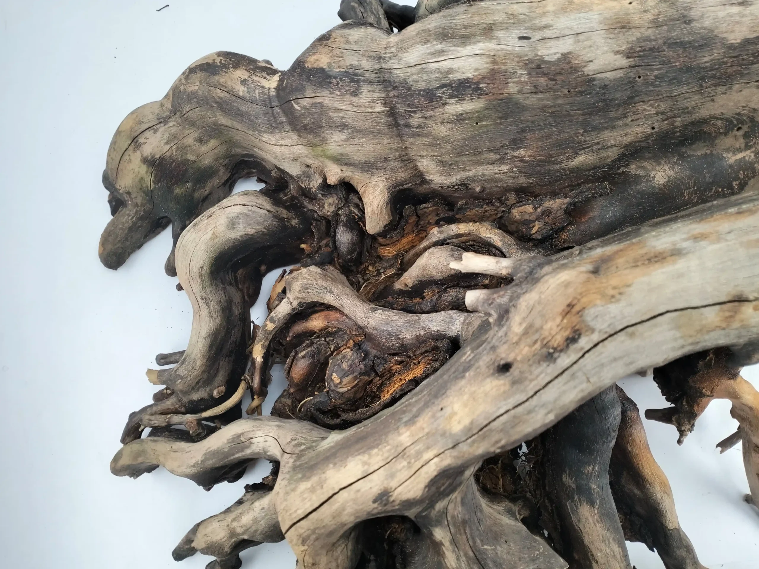 Mega Wood for Landscape
