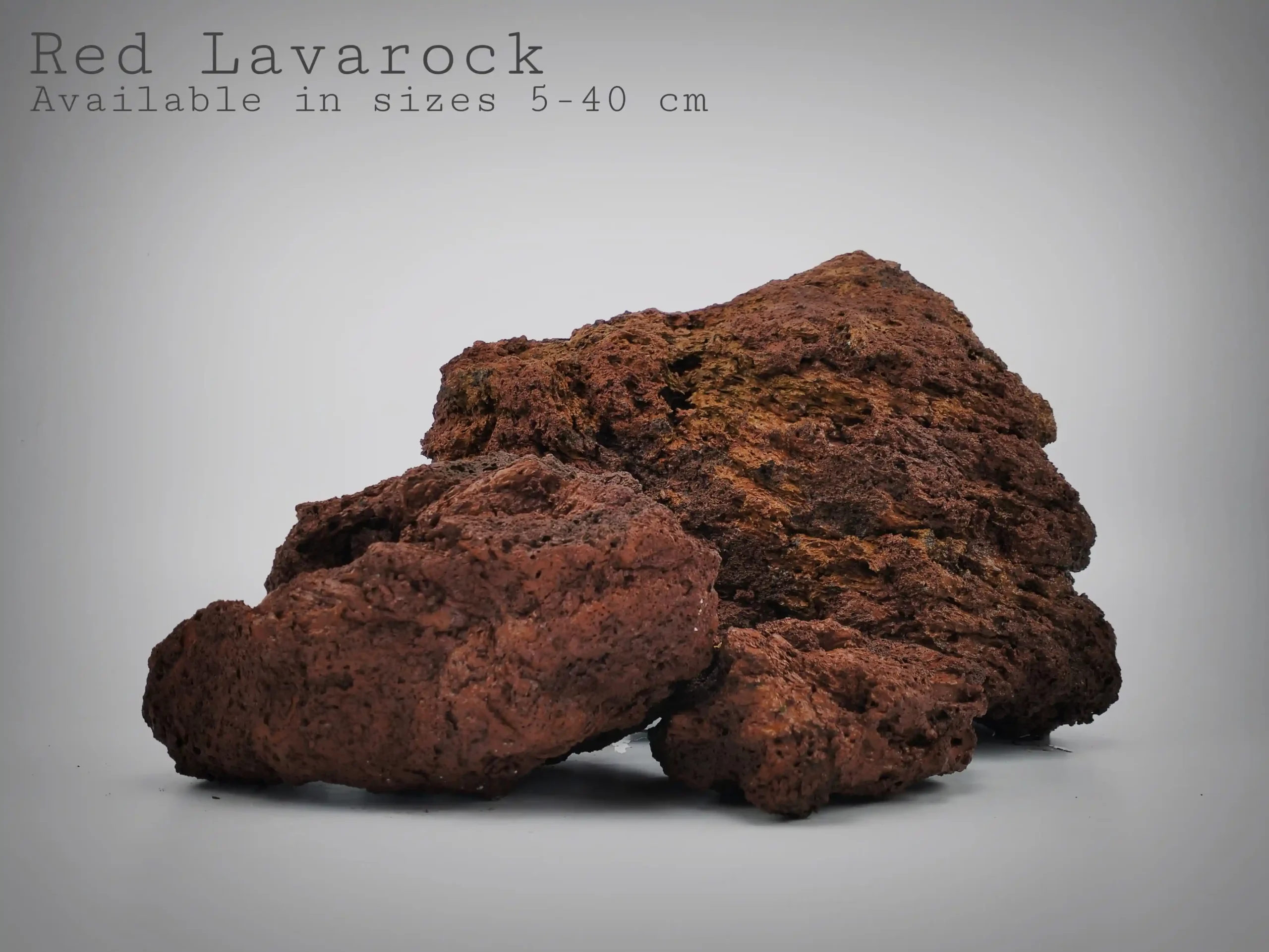 Red Lava Stone for reptile