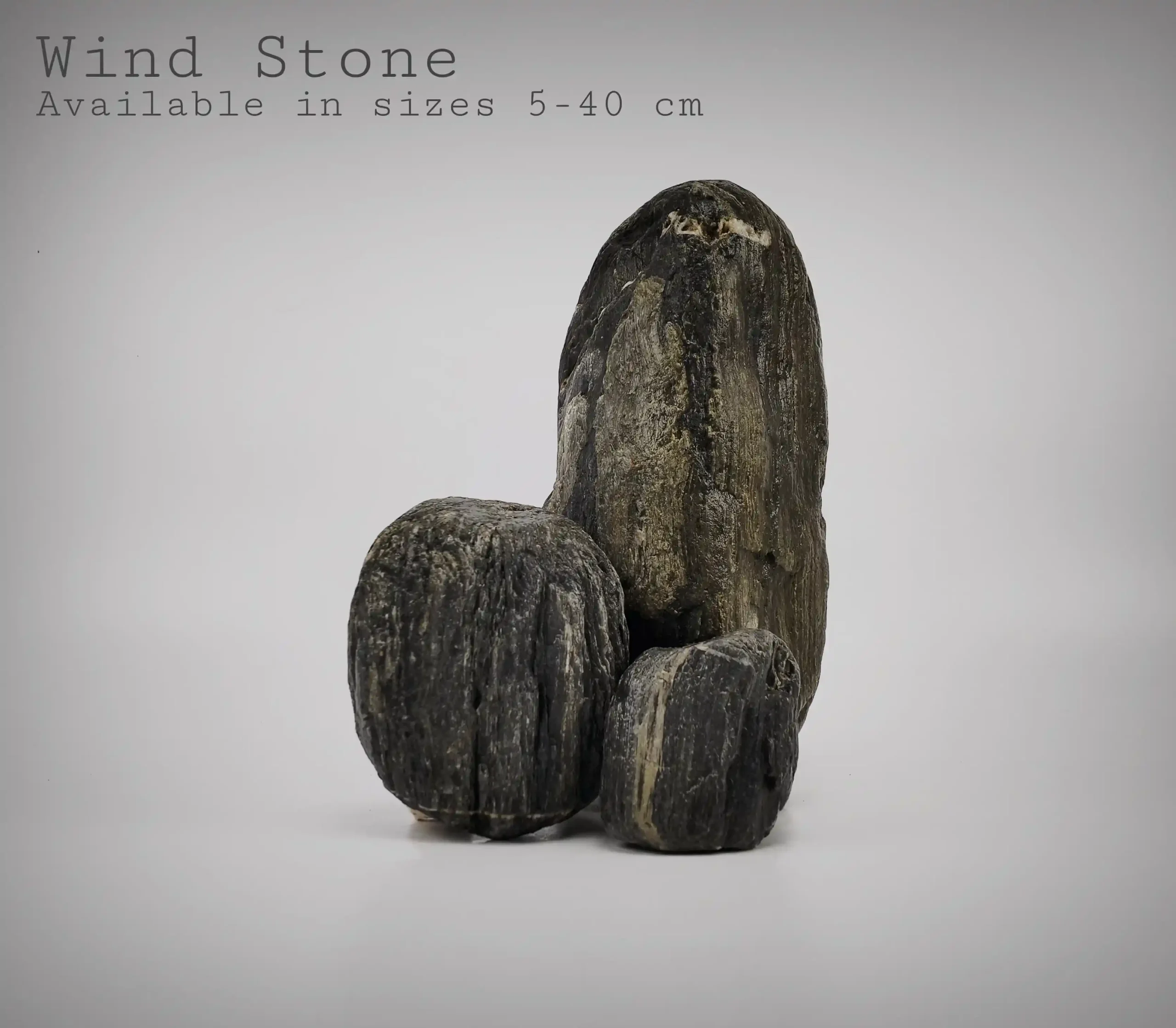 Wind Stone for Reptile