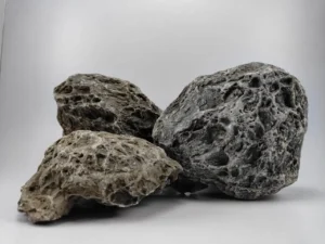 Zeo Lina Stone for Reptile